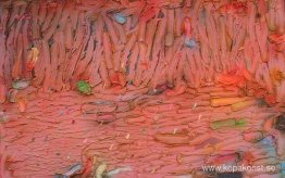 Heatscreambeat Heatscreambeat