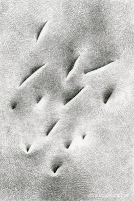 okänd titel okänd titel