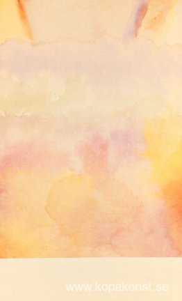 Bleka sanddyner Bleka sanddyner