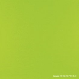 Polykromi V Polykromi V