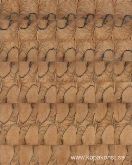 Progression 21-A Progression 21-A