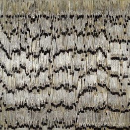 Korsfarare Korsfarare