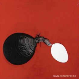 Il cordone ombelicale Il cordone ombelicale