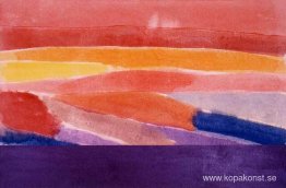 Yta Av Korall Yta Av Korall