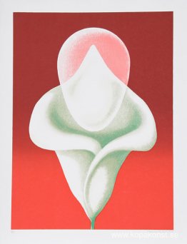 Abstrakt tulpan Abstrakt tulpan