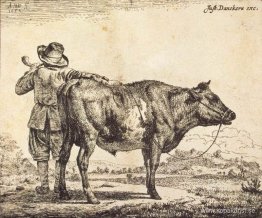 Bull Bull