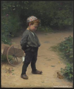 Den unge biologen Den unge biologen