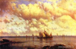 Segelbåtar i viken Segelbåtar i viken
