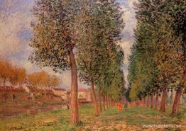 Poplar Avenue i Moret, molnig dag, morgon Poplar Avenue i Moret, molnig dag, morgon
