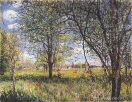 Pilar på en fälteftermiddag Pilar på en fälteftermiddag