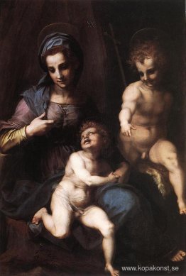 Madonna och barn med den unga St. John Madonna och barn med den unga St. John