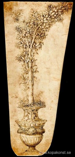 Vas med apelsin Vas med apelsin