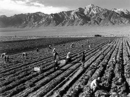 Gård, lantarbetare, Mount Williamson i bakgrunden, Manzanar Relo Gård, lantarbetare, Mount Williamson i bakgrunden, Manzanar Relo