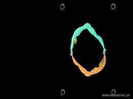 Alfabetet O Alfabetet O