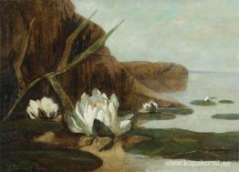 Näckrosor Näckrosor