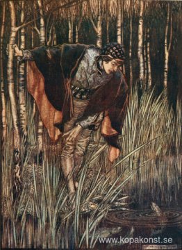 Fiskarna sträckte i sin glädje upp sina huvuden över vattnet och Fiskarna sträckte i sin glädje upp sina huvuden över vattnet och