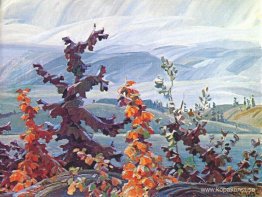 Skrubba ekar och lönnar Skrubba ekar och lönnar