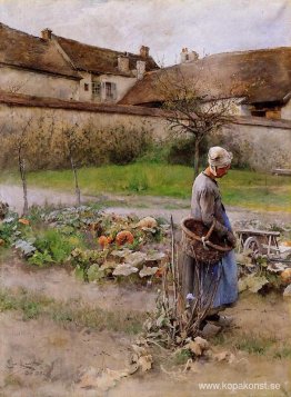 oktober (The Pumpkins) oktober (The Pumpkins)