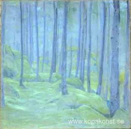 Dimma i skogen Dimma i skogen