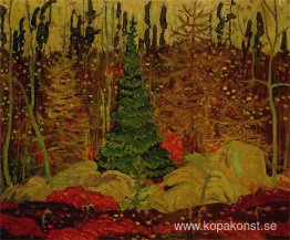 Unga Kanada Unga Kanada