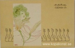 Gatublommor Gatublommor