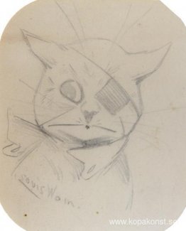 BEMUSED KATTEN BEMUSED KATTEN