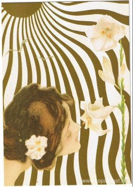 Solkvinnor Solkvinnor