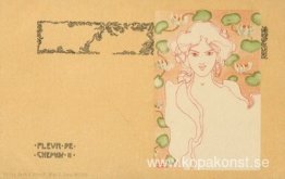 Gatublommor Gatublommor