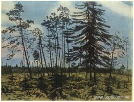 Finland med en blå himmel Finland med en blå himmel