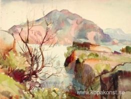 Berget Arnarfell Berget Arnarfell