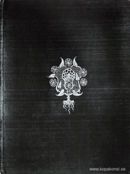 Omslag 1894 Omslag 1894