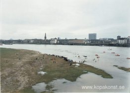 Nyårssimmare Nyårssimmare