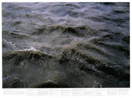 Utan titel (från serien Still Water (Texempel Themsen)) Utan titel (från serien Still Water (Texempel Themsen))