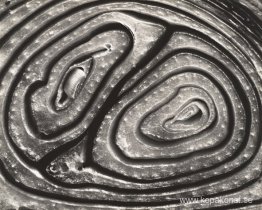 Lök Halverad Lök Halverad