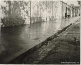 Efter regnet Efter regnet