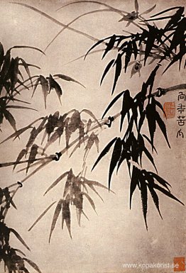 Bambu Bambu
