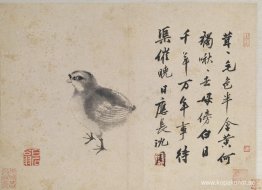 Vaktel (skisser från livet) Vaktel (skisser från livet)