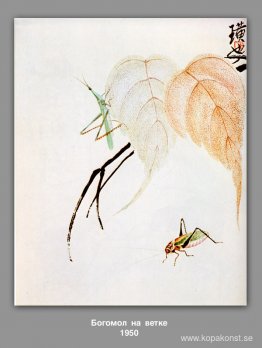 Bönsyrsa på en gren Bönsyrsa på en gren