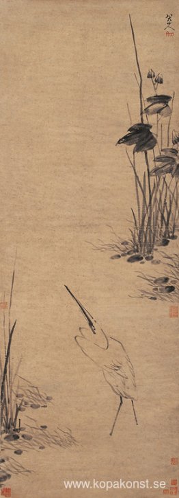 Egret vid poolen Egret vid poolen