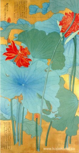 Lotus Lotus