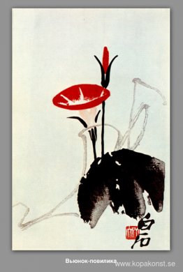 Bindweed, dodder Bindweed, dodder