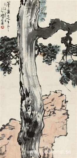 Grand Pine Tree Grand Pine Tree