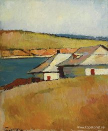 Hus på stranden av sjön Cernica