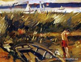 Punt i vassen vid Muritzsee