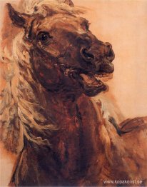 Slaget vid Grunwald (detalj)