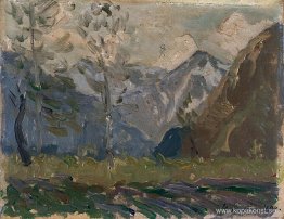 Studie av berg
