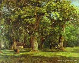 Skogen