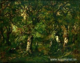 Fagoteuse i skogen