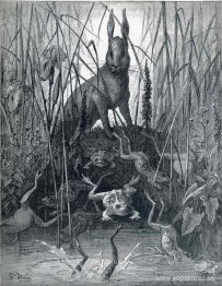 Haren och grodorna