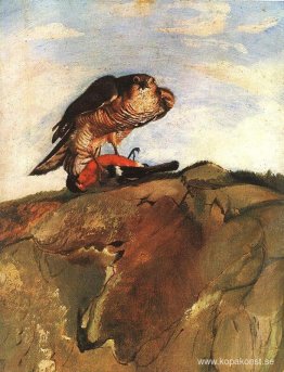 Rovfågel